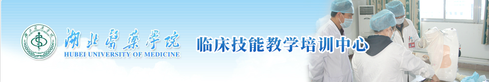 /images/logo202405.png